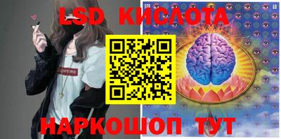 дживик Можга