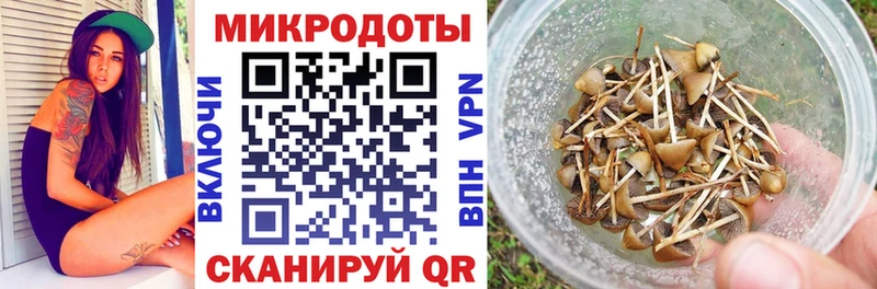 OMG маркетплейс  купить наркотики цена  Обнинск  Галлюциногенные грибы прущие грибы 