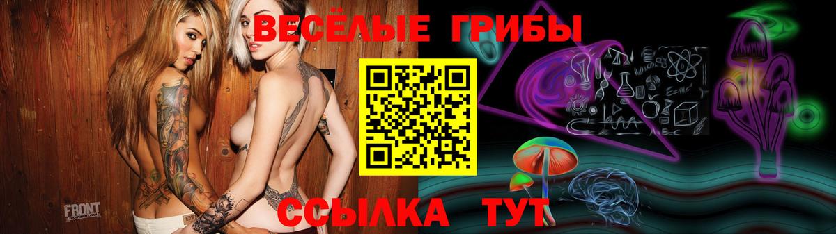 Псилоцибиновые грибы Cubensis Обнинск